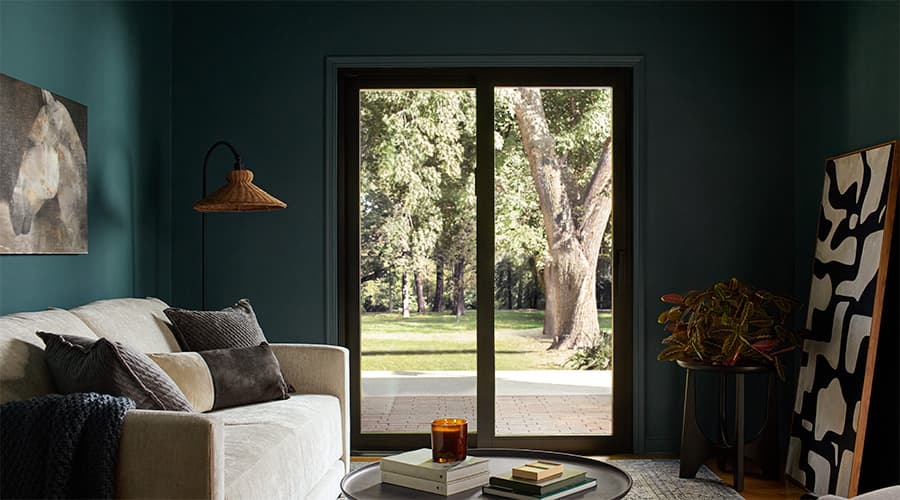 Several trees can be seen through a dark-colored sliding patio door.