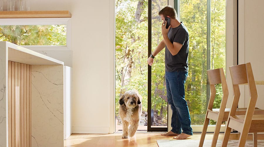 a black dog sits by patio doors with blinds-between-the-glass