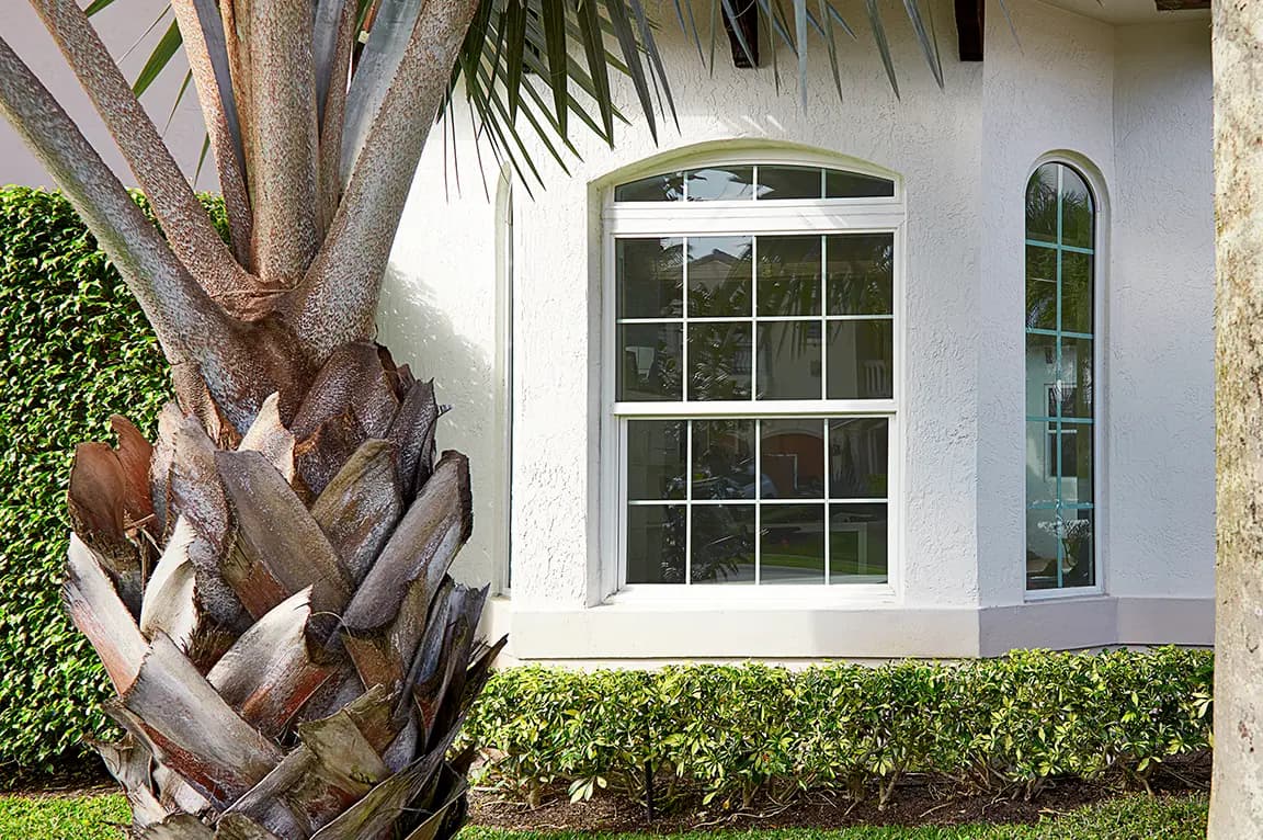 Palm tree trunk and trimmed hedge in front of a white stucco home with an arched multi-pane window