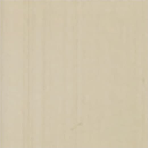 Champagne Anodized Champaign swatch
