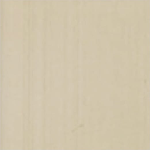Champagne Anodized Champaign swatch