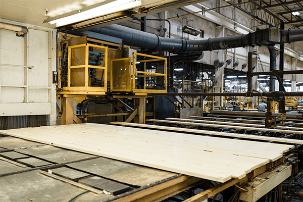 tailor made for you raw wood tailor made for you raw wood