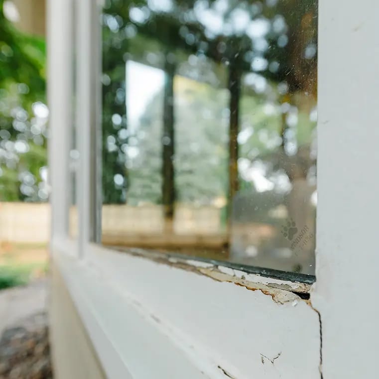 Close-up of an exterior wooden window frame with peeling paint and a cracked sill, glass reflecting trees