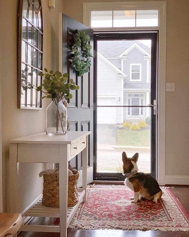Front door open with dog looking out full view glass storm door with retractable screen.