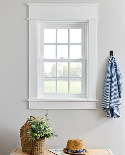 Replacement window with a view outside.