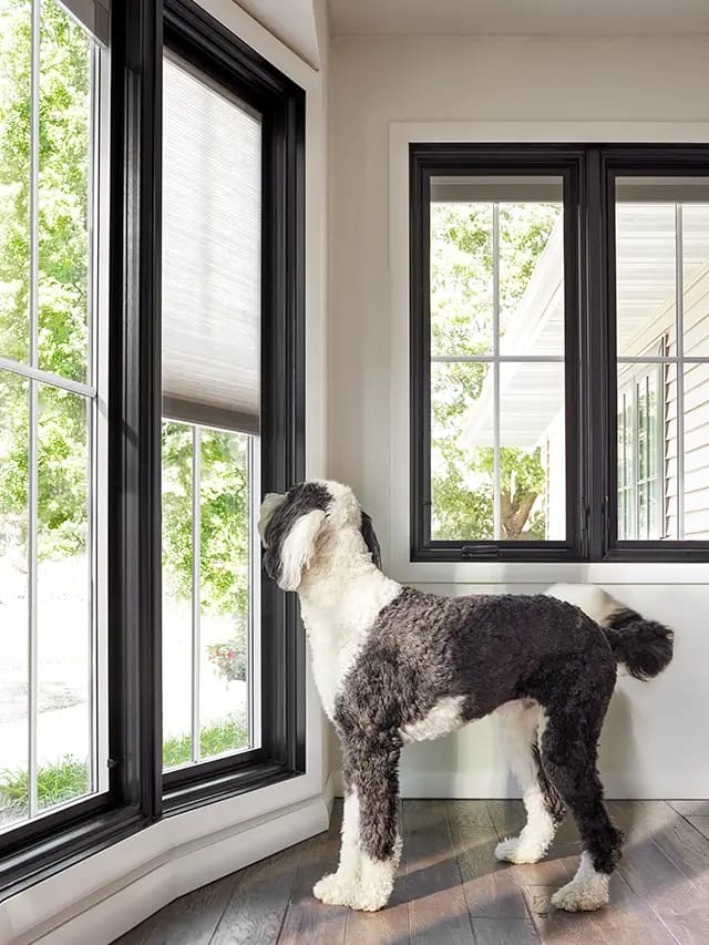 A black bow window in a modern interior with wooden flooring, allowing natural light to enter.