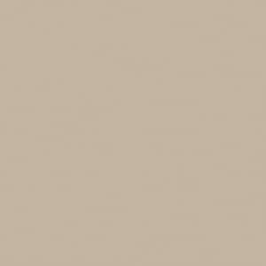 Beige a beige-colored swatch