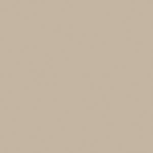 Beige a beige-colored swatch