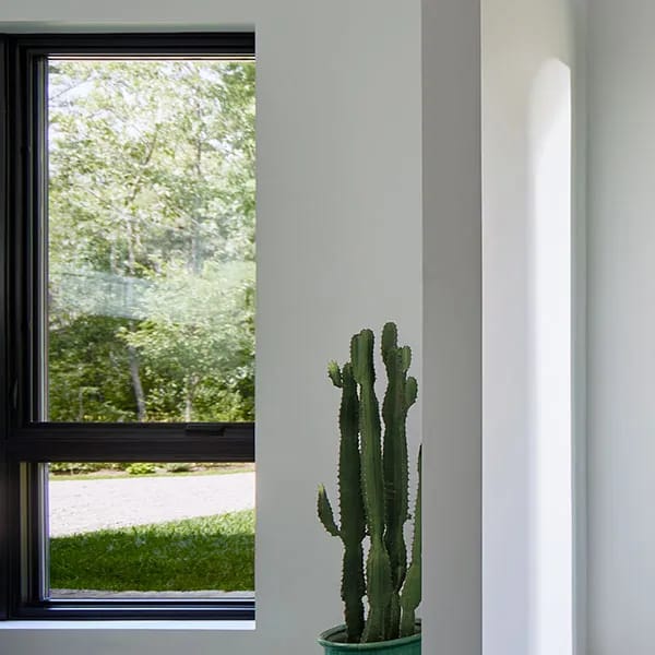 A cactus in a green pot stands by a white wall near a black-framed window, showing combinations of indoor and outdoor elements.