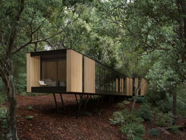 An ultra-modern home in the forest featuring floor-to-ceiling windows and a sliding patio door on the end.