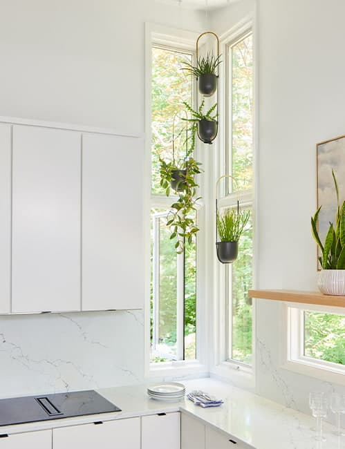An all-white kitchen stacked set of corner windows with several hanging plants.