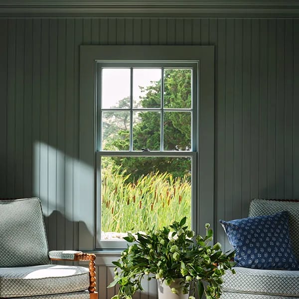 A room with custom color paneled walls, a window view of greenery, and a plant in front.