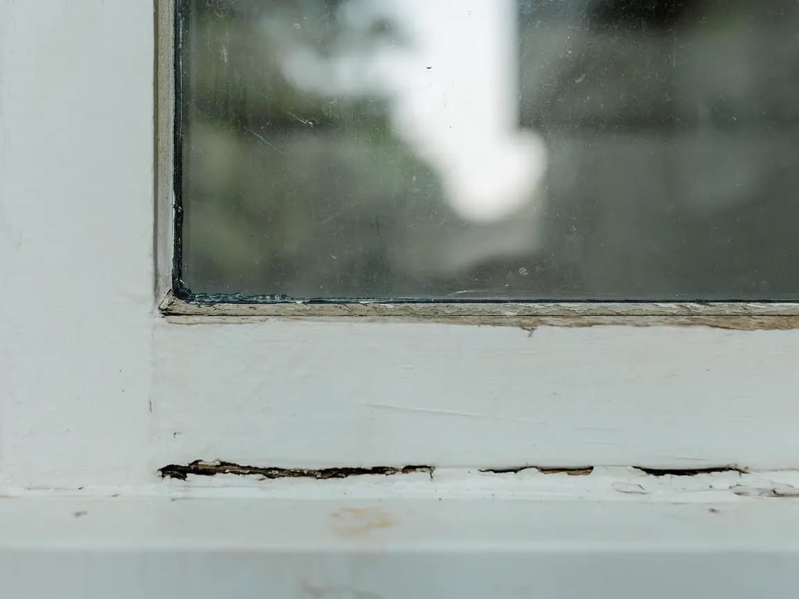 Close-up of window sill rot: white painted wooden window frame with peeling paint and cracked, rotting wood beneath a dirty glass pane