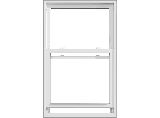 250 series double-hung window with no grilles