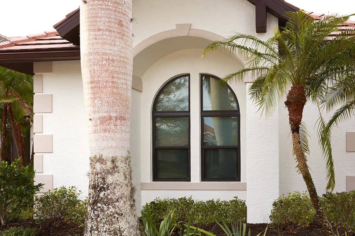 Dark-framed arched window on white stucco Mediterranean-style home with palm trees and tropical front landscaping.